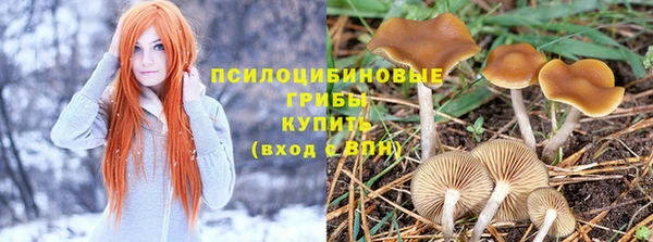 эйфоретик Абаза