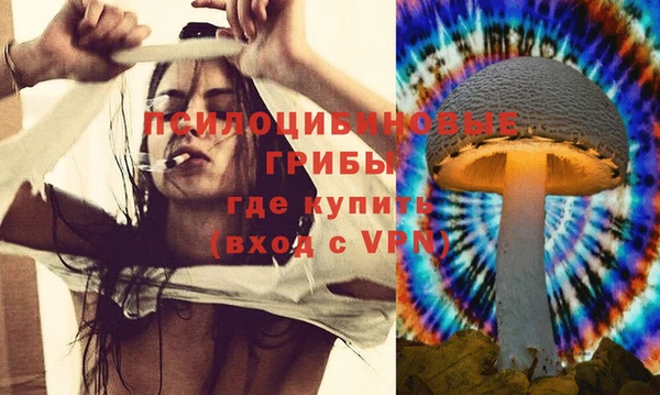 мдпв Абинск