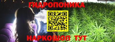 твердый Можга