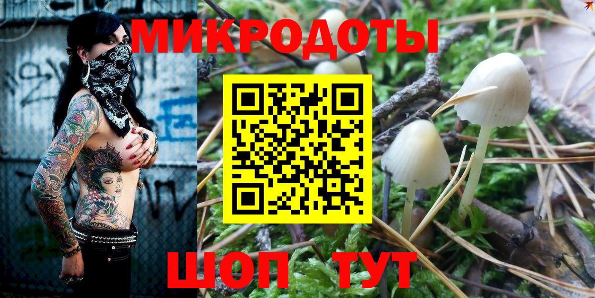 Энгельс  Галлюциногенные грибы Psilocybe  Вход с VPN 