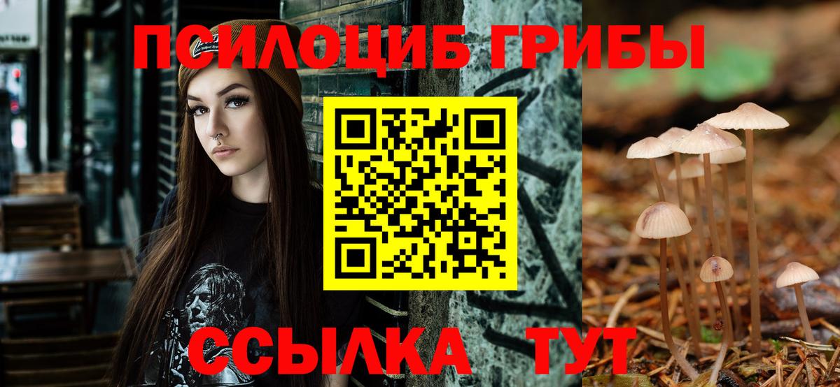Псилоцибиновые грибы Cubensis Энгельс