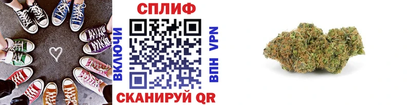 Конопля гибрид  где купить   Энгельс 